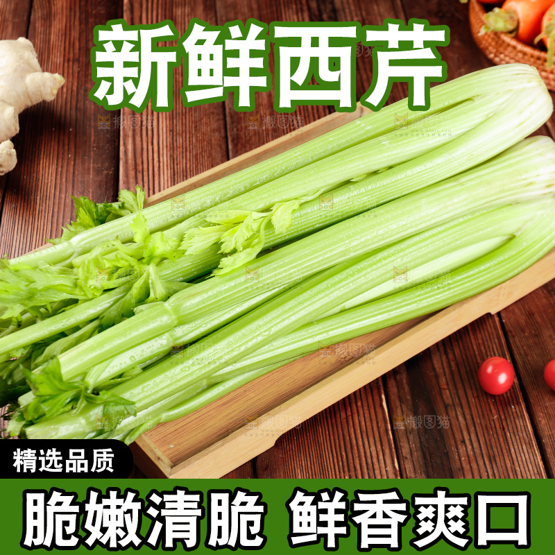 木盘里的山东大西芹