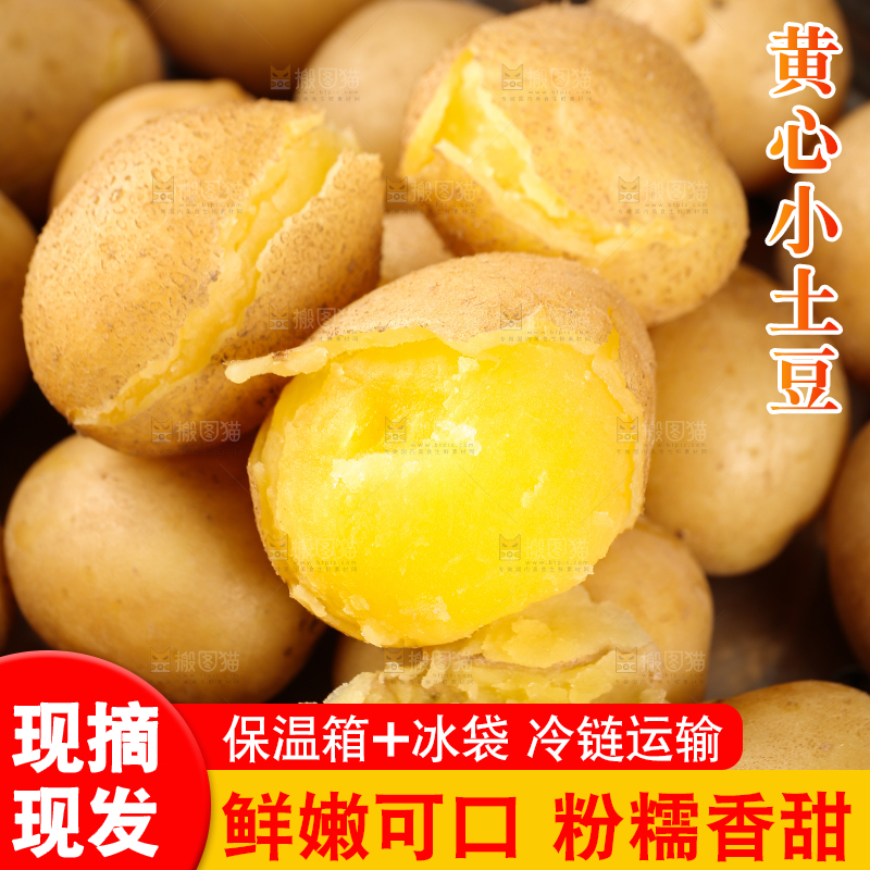 蒸熟的黄心小土豆