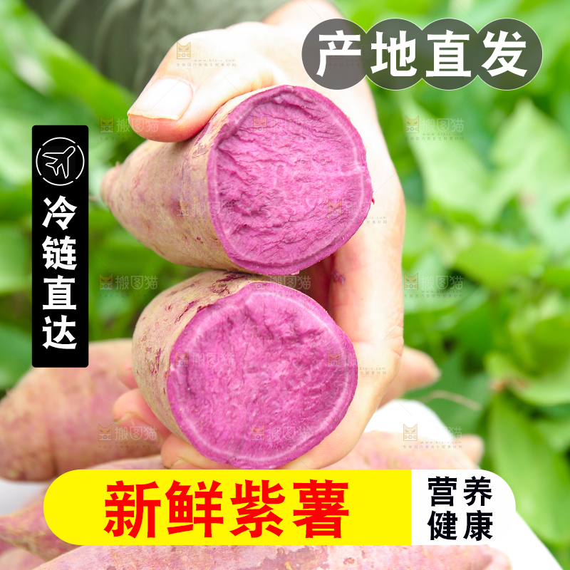 手里拿着新鲜紫薯