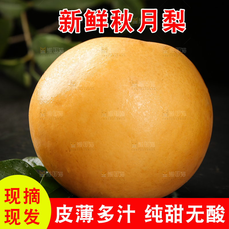 黑底上摆放着秋月梨