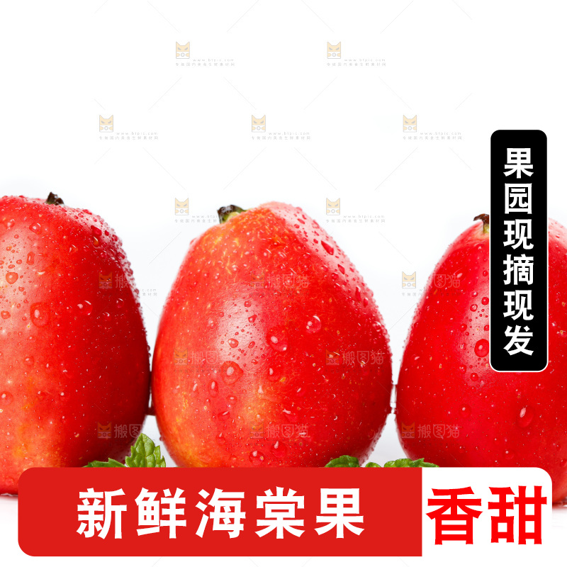 白底上的鸡心果