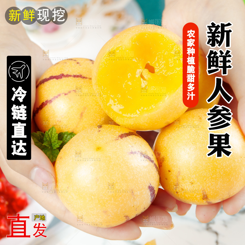 手里拿着长寿果