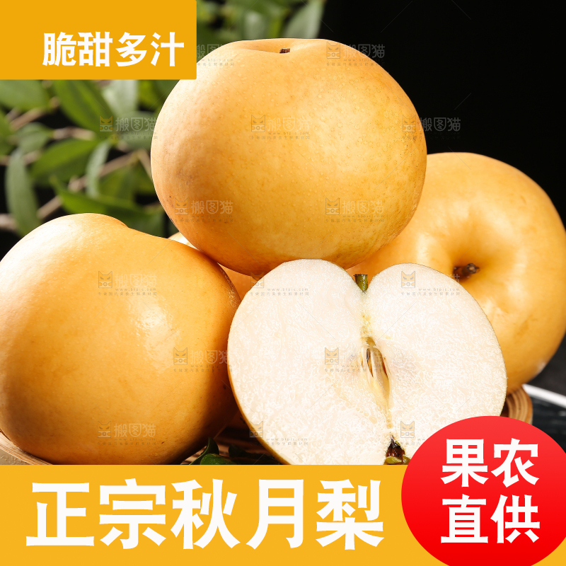 盘子里的莱阳秋月梨
