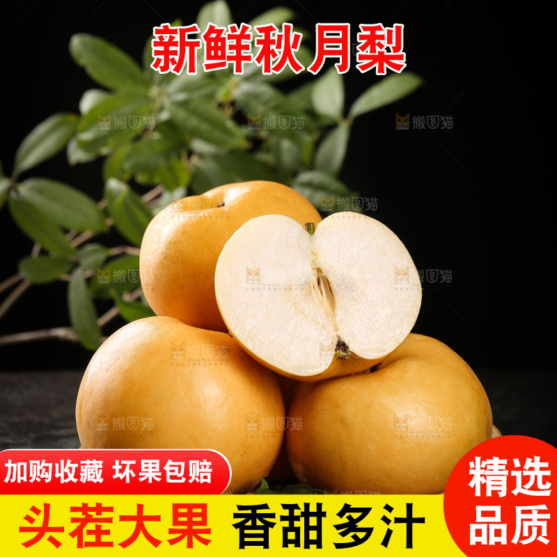 盘子里的莱阳秋月梨