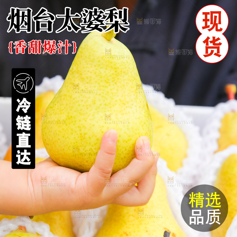 手里拿着烟台太婆梨