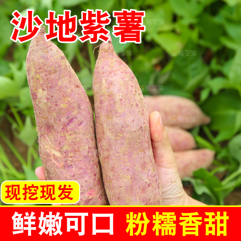 手里拿着新鲜紫薯