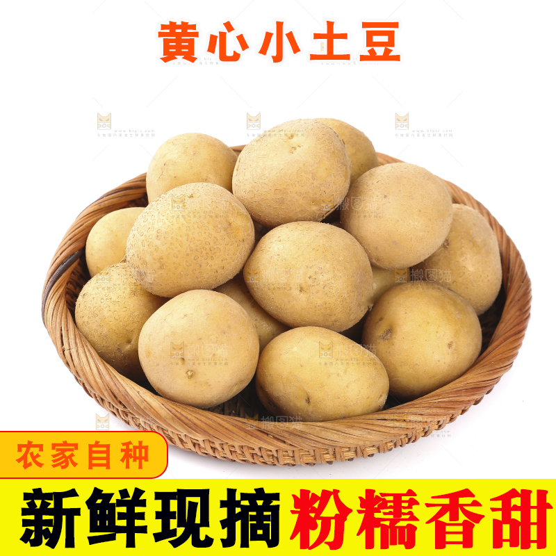 白底上的一篮小土豆