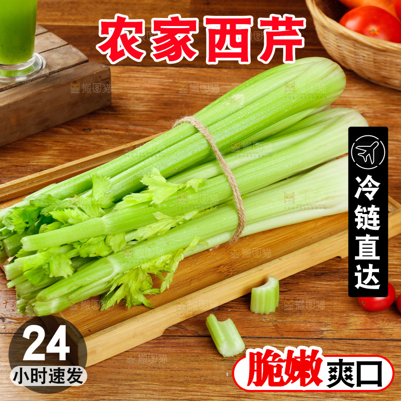 木盘里的山东大西芹