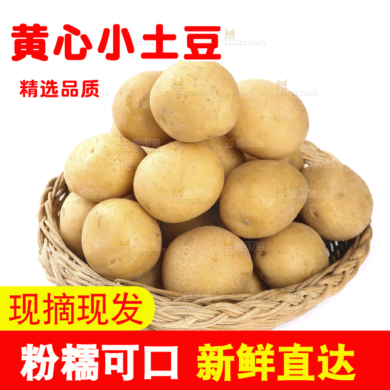 白底上的一篮小土豆