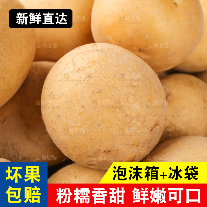 堆放着的黄心小土豆