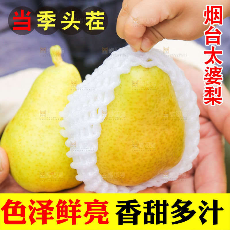 手里拿着烟台太婆梨