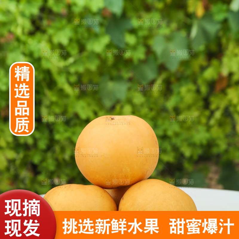 桌子上放着一篮秋月梨