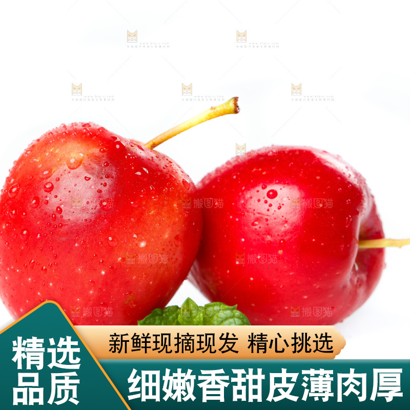 白底上的鸡心果