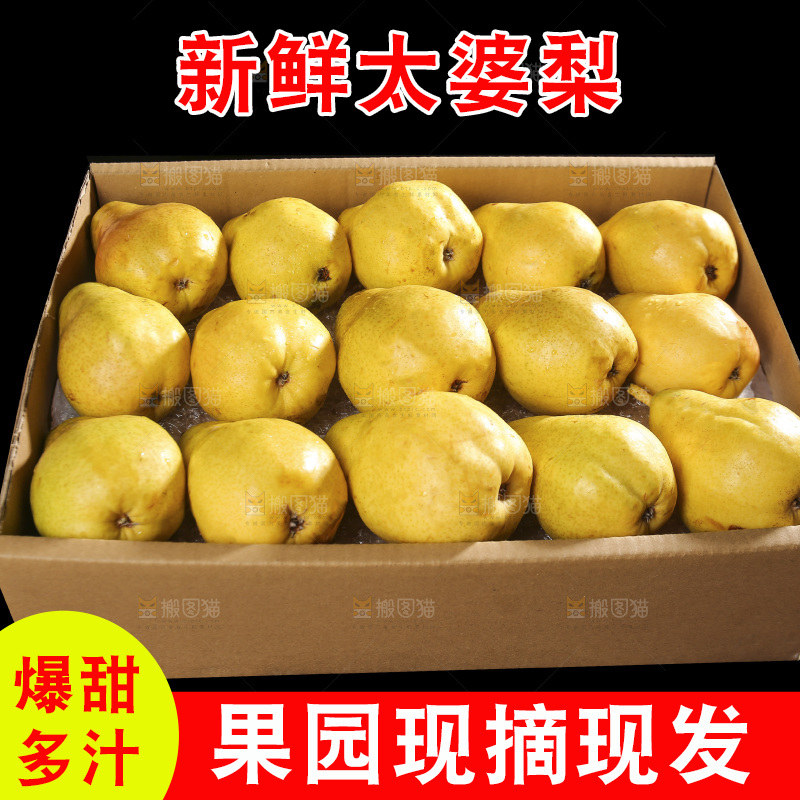 箱子里的烟台太婆梨