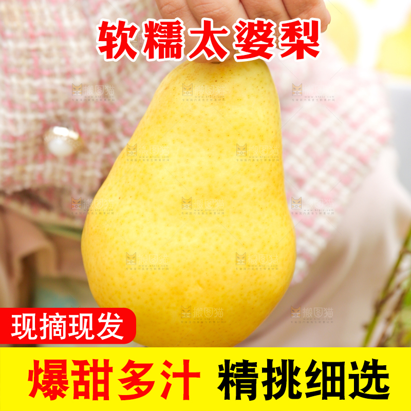 手里拿着烟台太婆梨