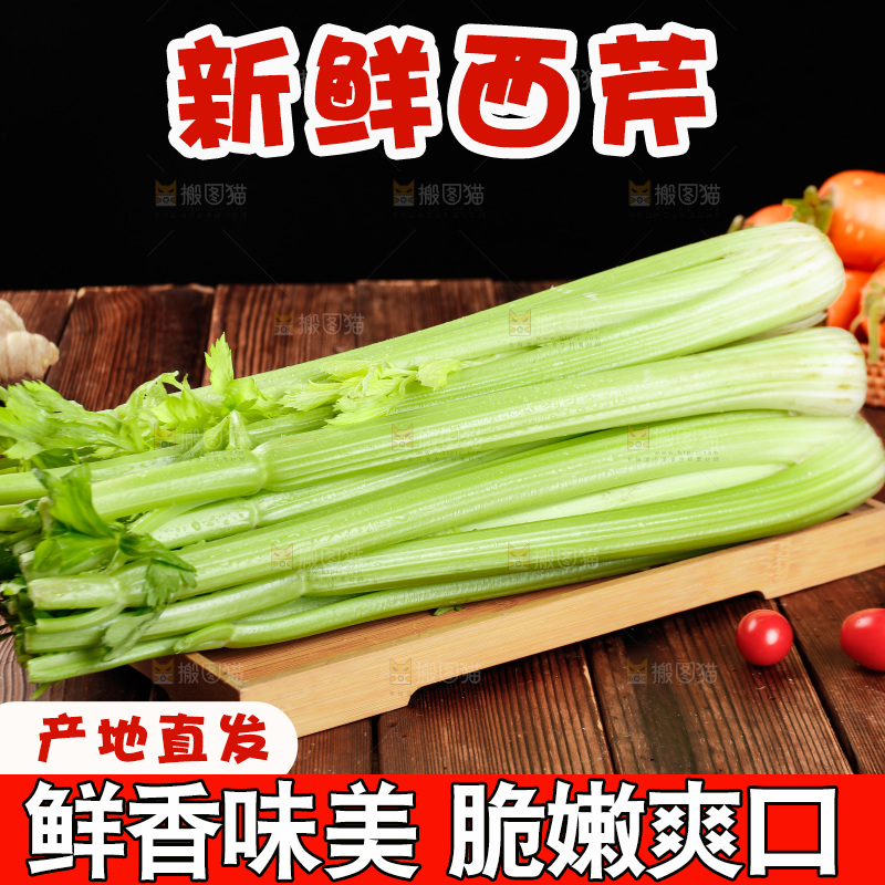 木盘里的山东大西芹