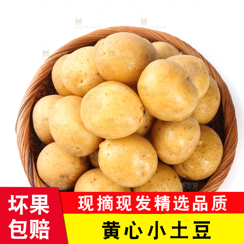 白底上的一篮小土豆