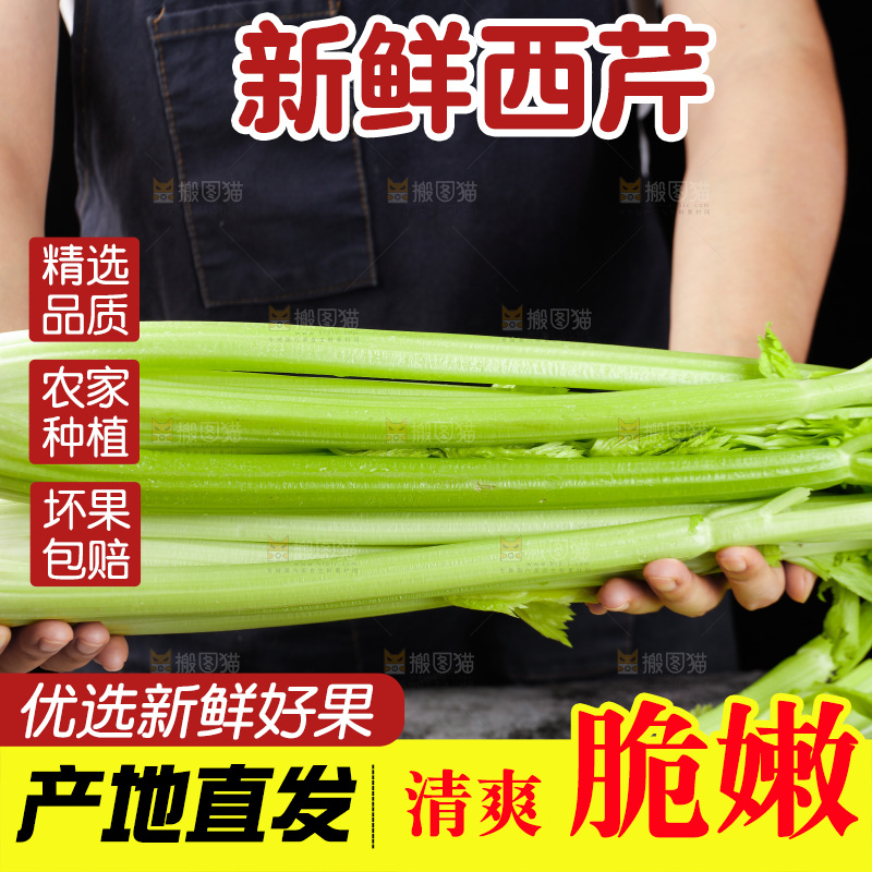 手里拿着山东大西芹