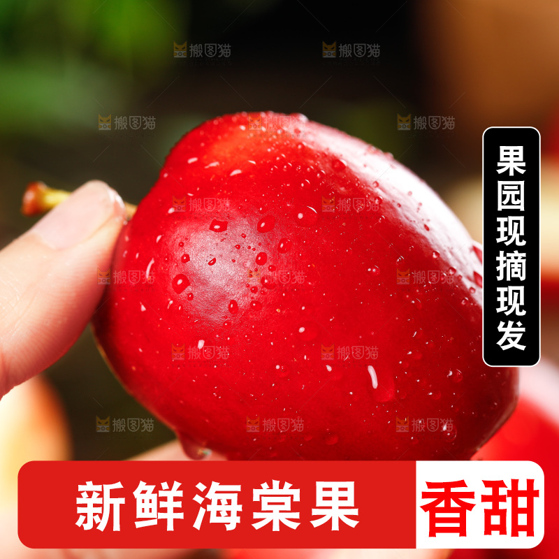 手里拿着海棠果