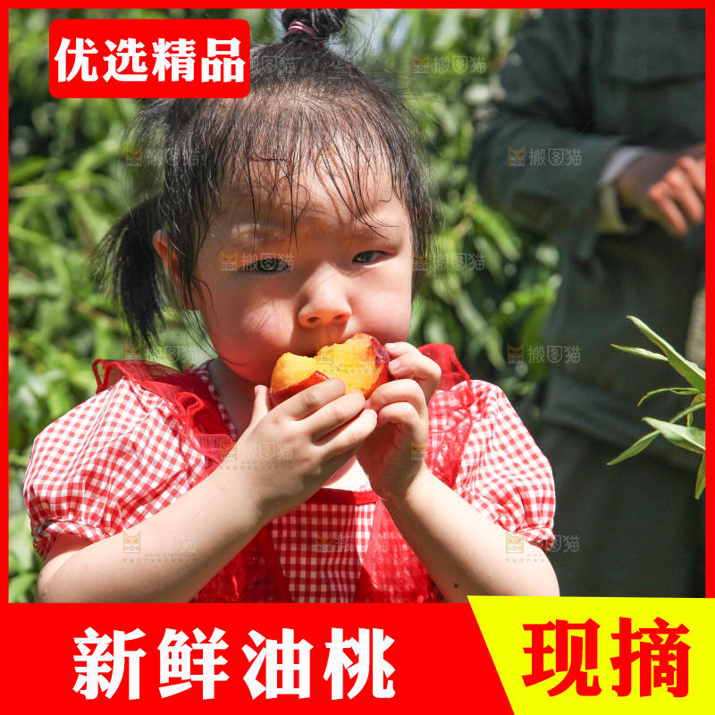 女孩正在吃着黄心油桃