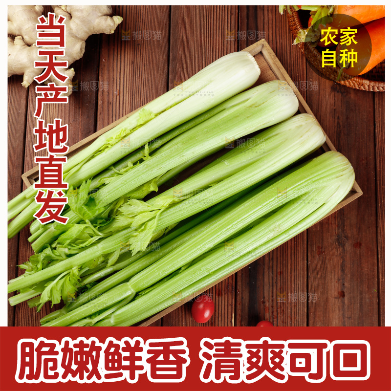 木盘里的山东大西芹