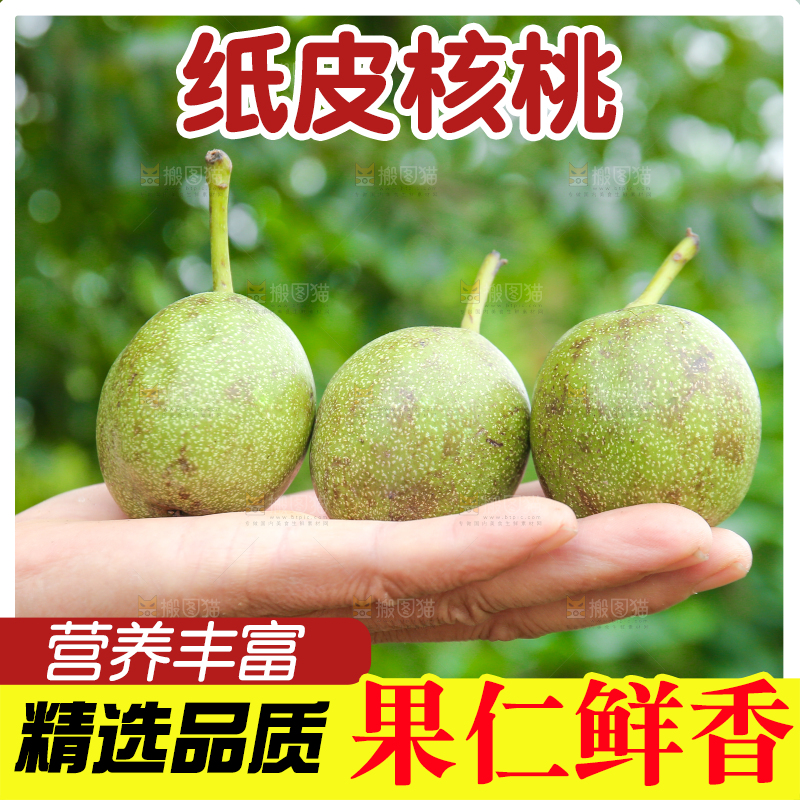 手上放着青皮核桃