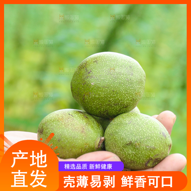 手里捧着青皮核桃