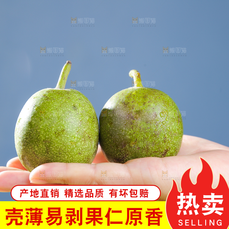 手上放着新鲜核桃
