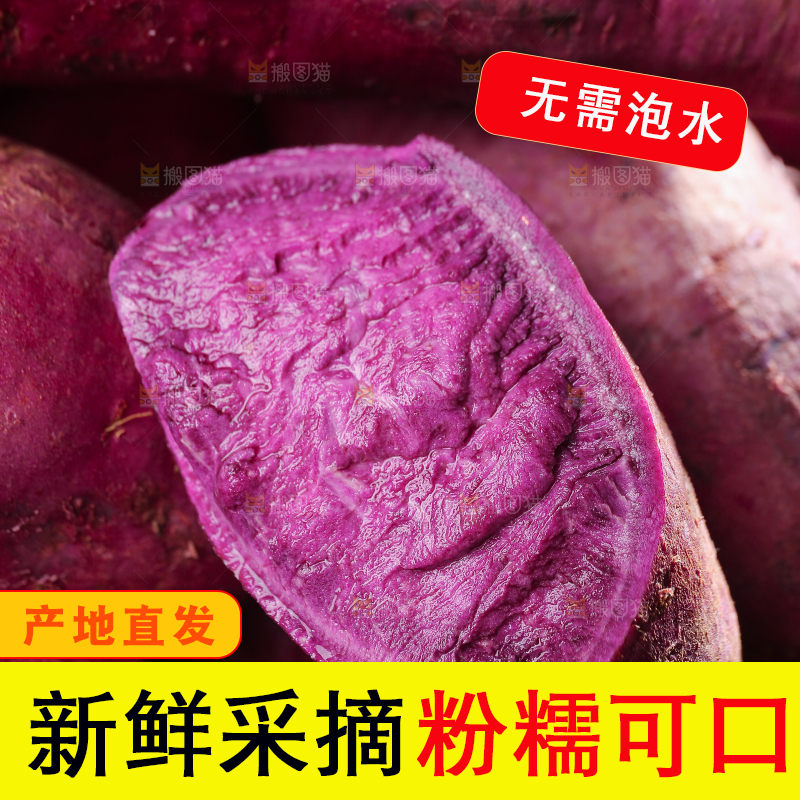 堆放着的新鲜紫薯