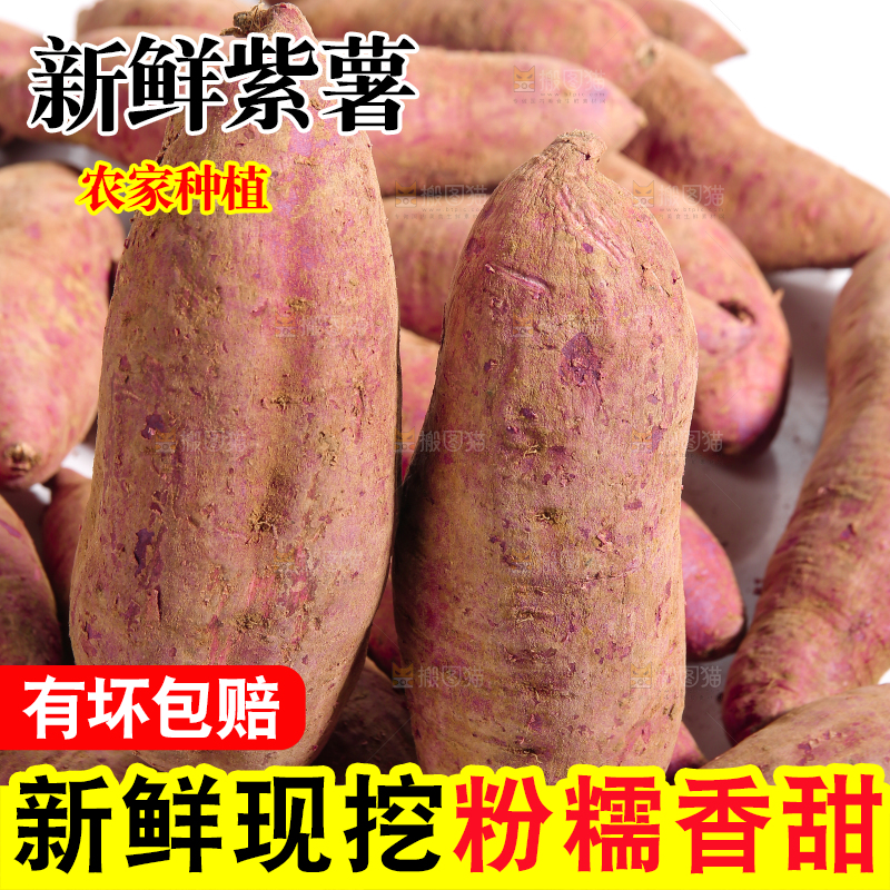 堆放着的沙地紫薯