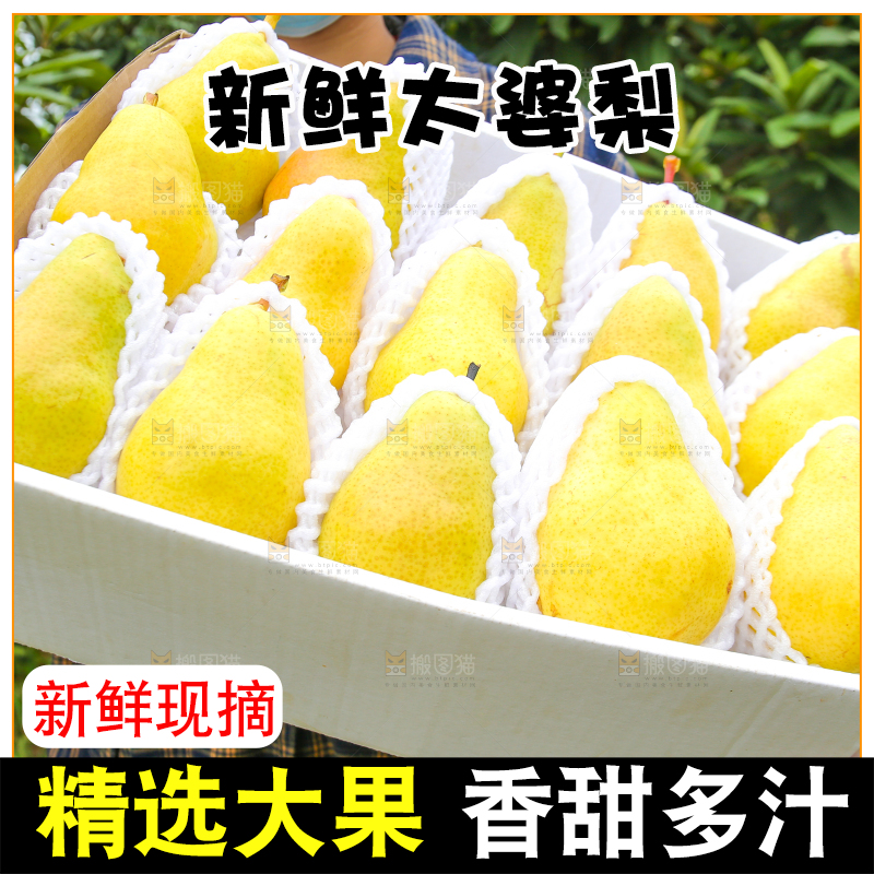 手里拿着一箱烟台太婆梨