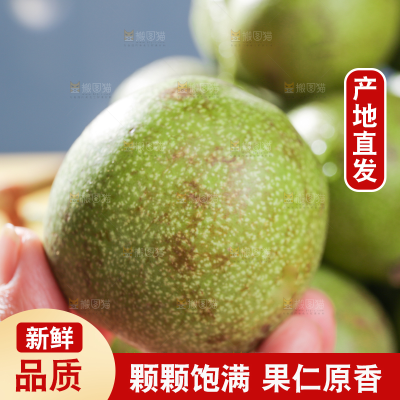 手里拿着新鲜核桃