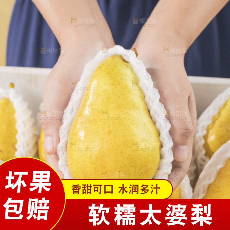 手里拿着太婆梨