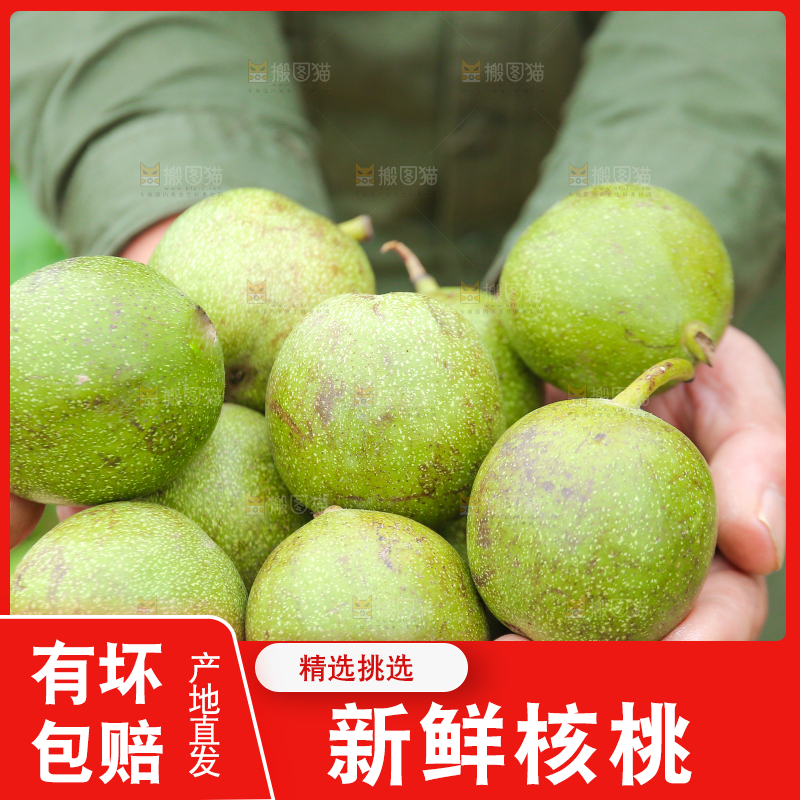 手里捧着新鲜核桃