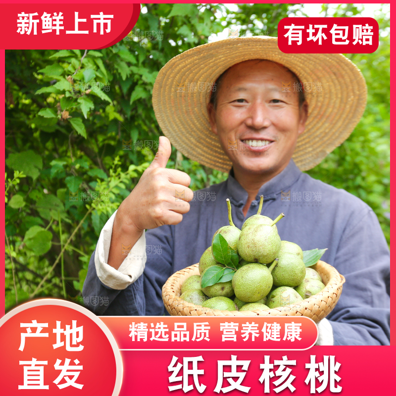 农民手里拿着一篮核桃