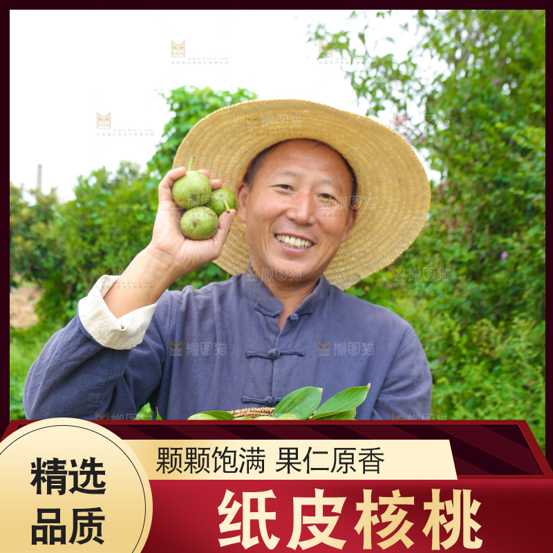 农民手里拿着一篮核桃