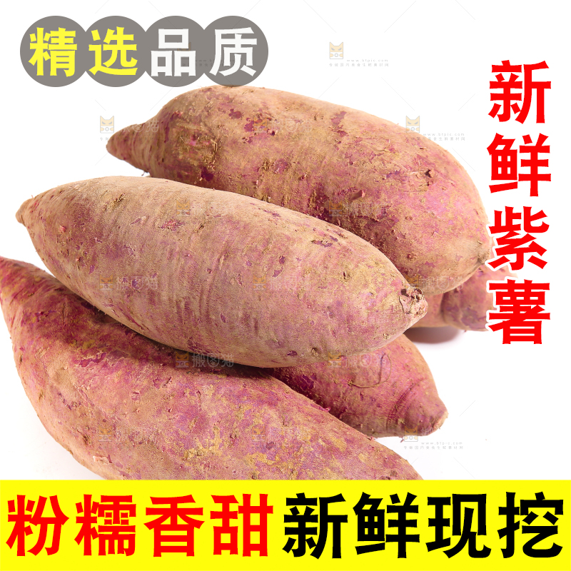白底上的沙地紫薯