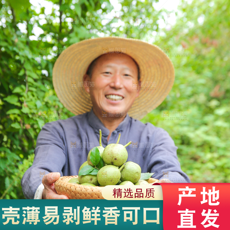 农民手里拿着一篮核桃