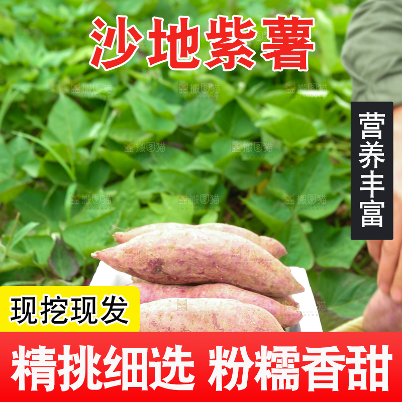 地里放着一箱紫薯
