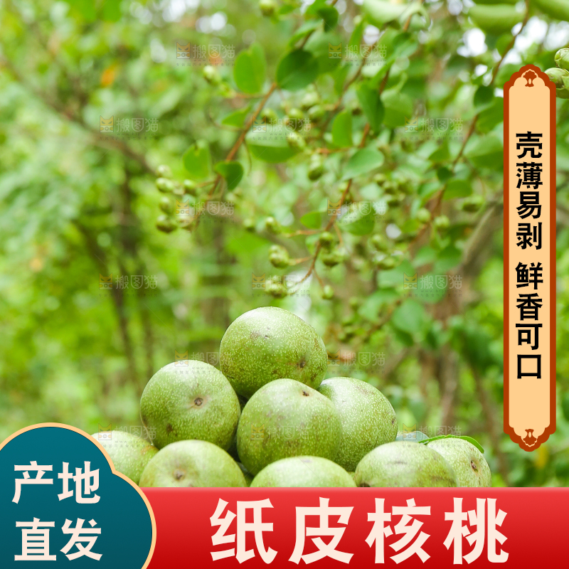 手里拿着一篮青核桃