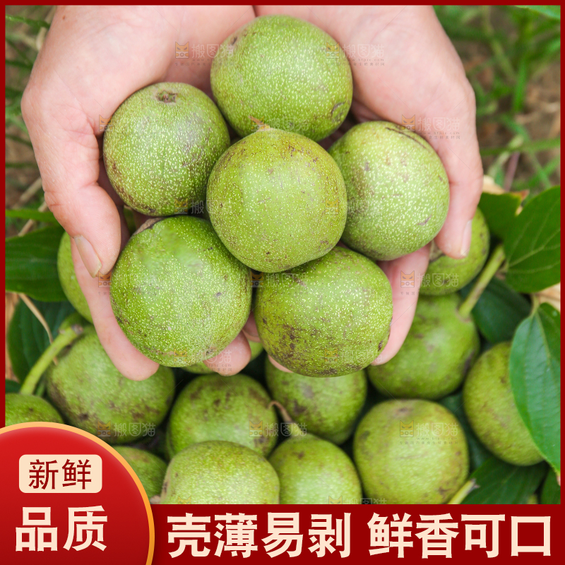 手里捧着青皮核桃
