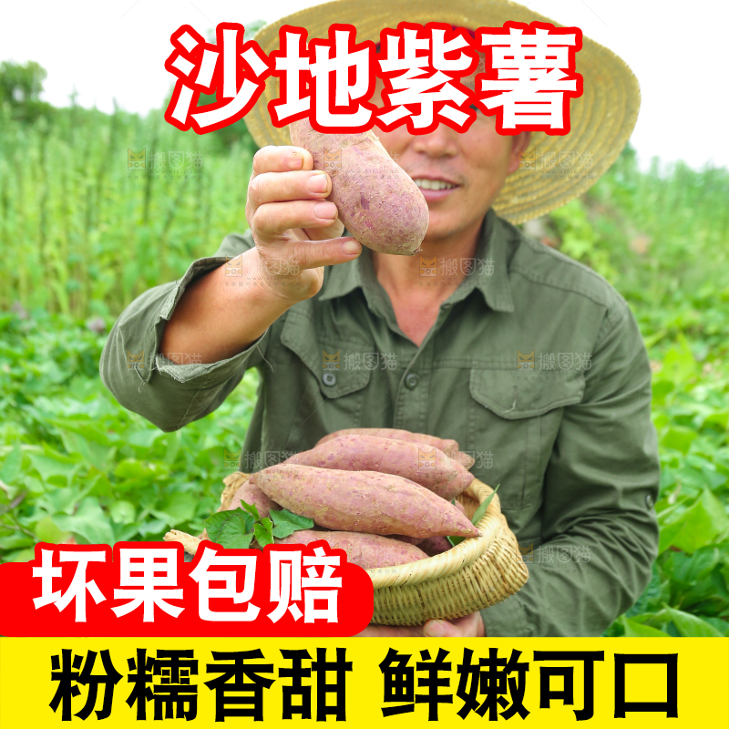 农民手里拿着一篮紫薯