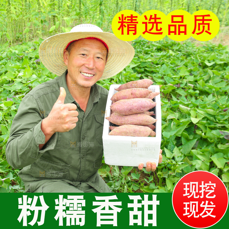 农民手里拿着一箱紫薯