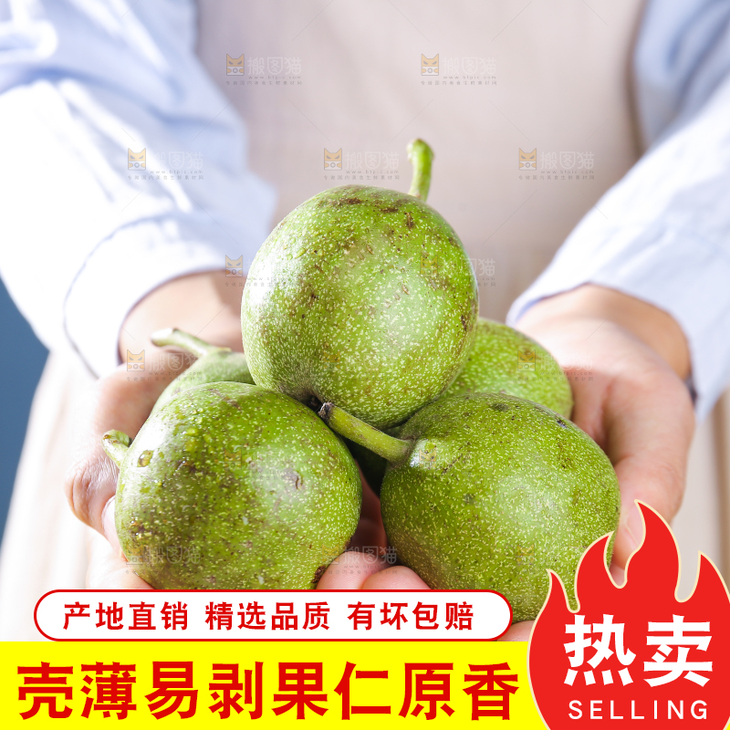 手上捧着青皮核桃