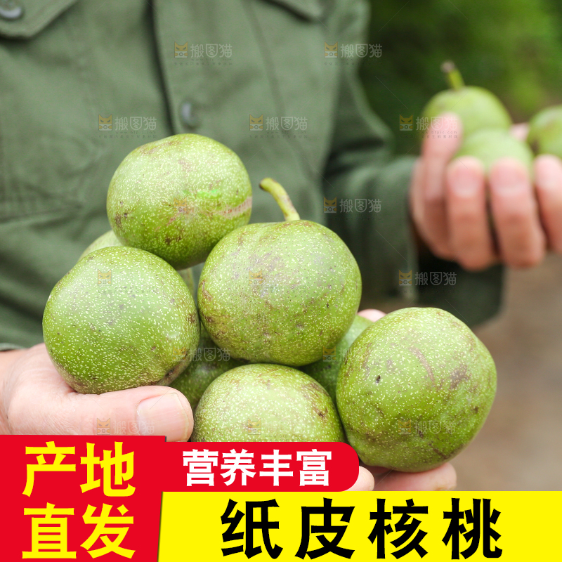 手里捧着青皮核桃