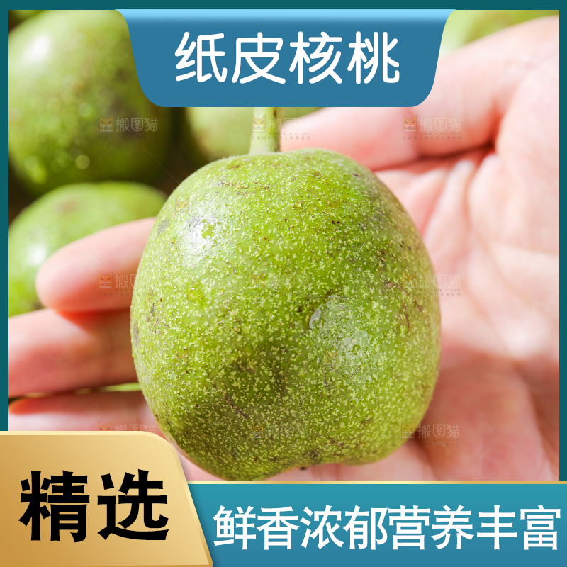 手上放着新鲜核桃