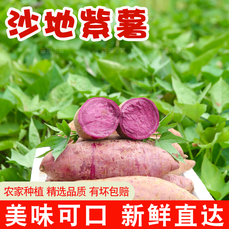 箱子里的紫薯