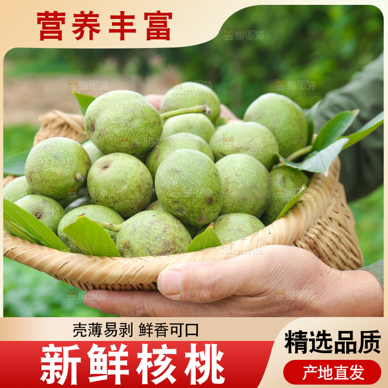 手里拿着一篮青皮核桃