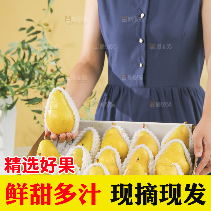 手里拿着太婆梨