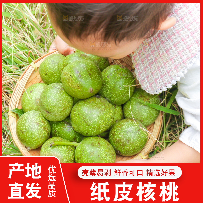 小孩手里拿着一篮青核桃